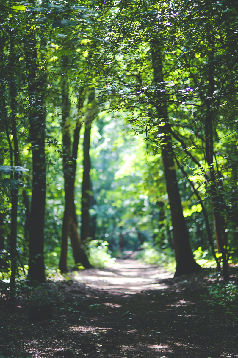 Naturoplevelser